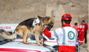 پایگاه جامع مدیریت بحران‌های طبیعی و انسان‌ساز