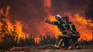 آواره شدن هزاران نفر در اثر حریق جنگلی در فرانسه