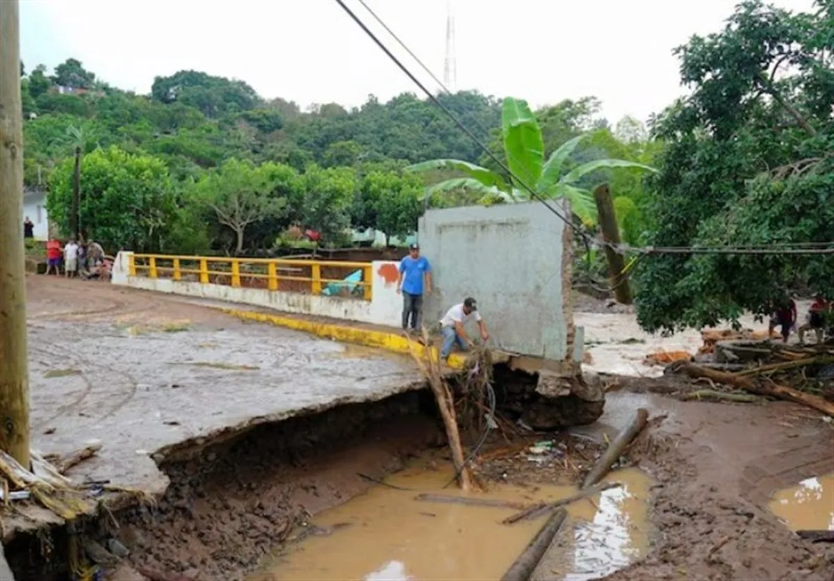 سیل در مکزیک