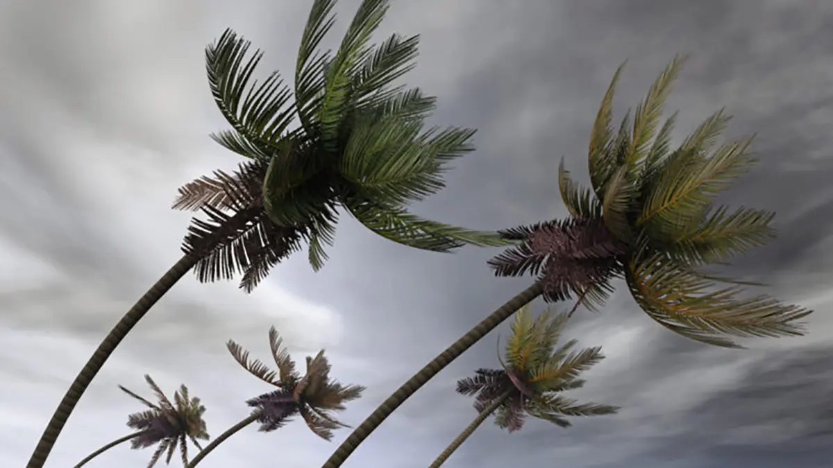 ویرانی گسترده در پی طوفان قدرتمند ملیسا در جامائیکا