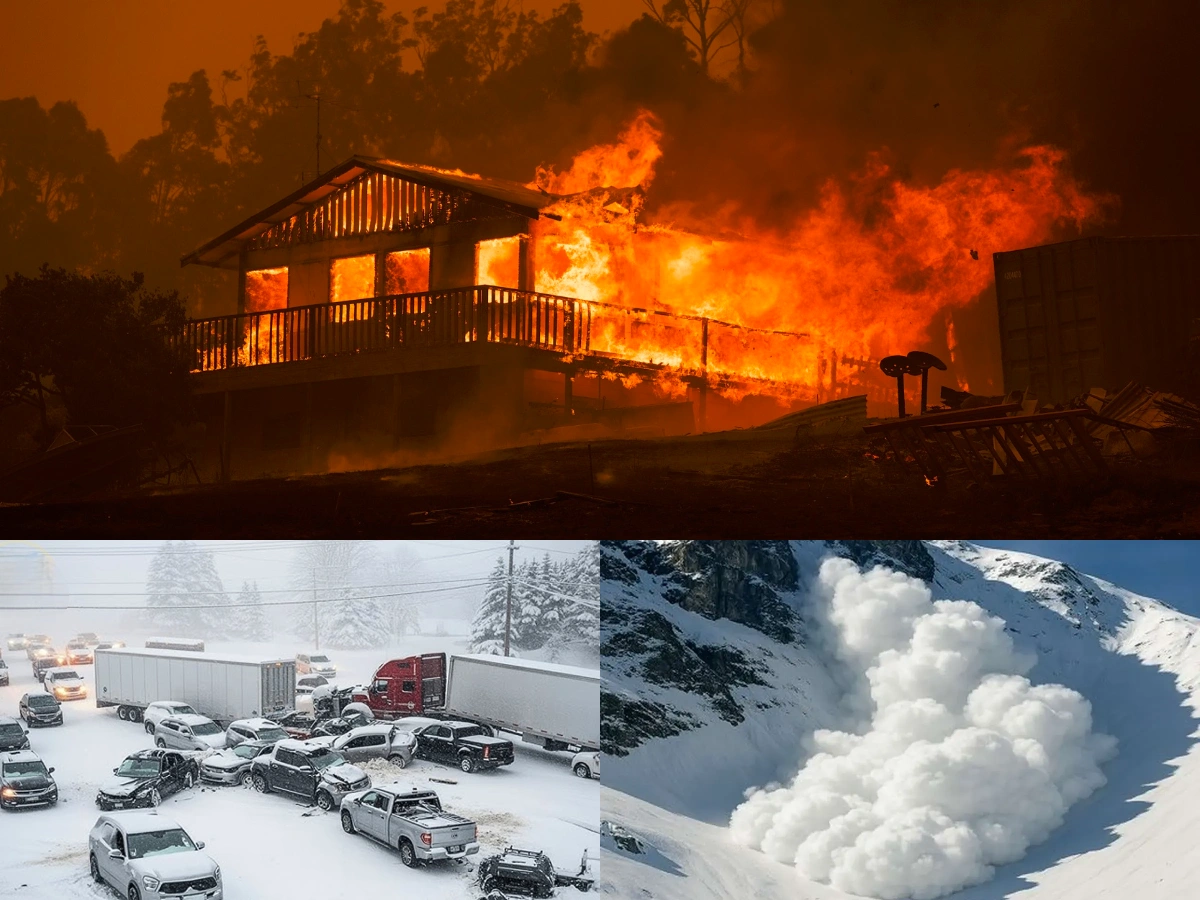 سوانح جاده ای